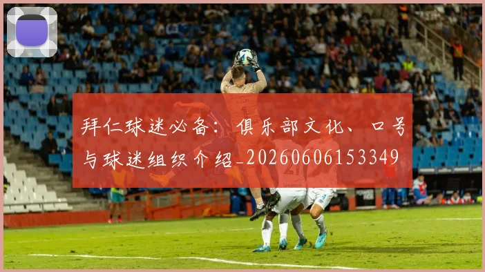 拜仁球迷必备:俱乐部文化、口号与球迷组织介绍_20260606153349
